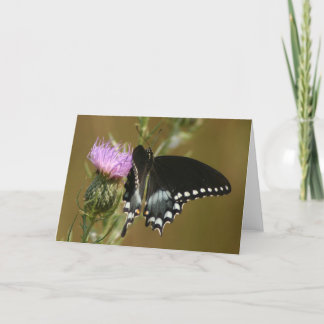 Butterfly Card