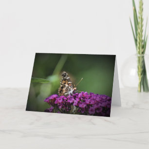 Butterfly, card