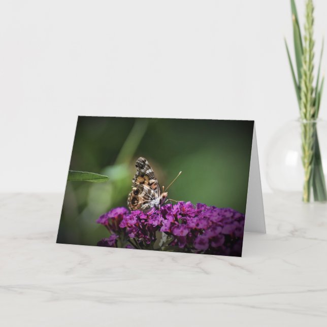 Butterfly, card (Front)