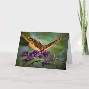 Butterfly, card