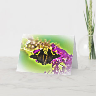Butterfly, card