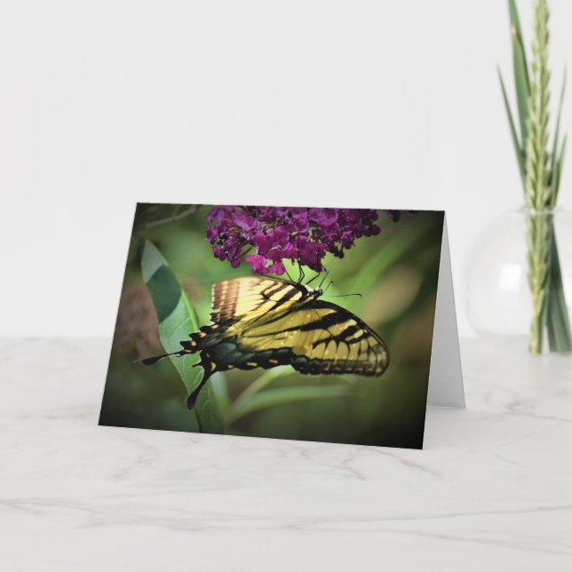 Butterfly, card (Front)