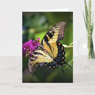 Butterfly, card