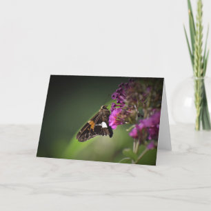 Butterfly, card