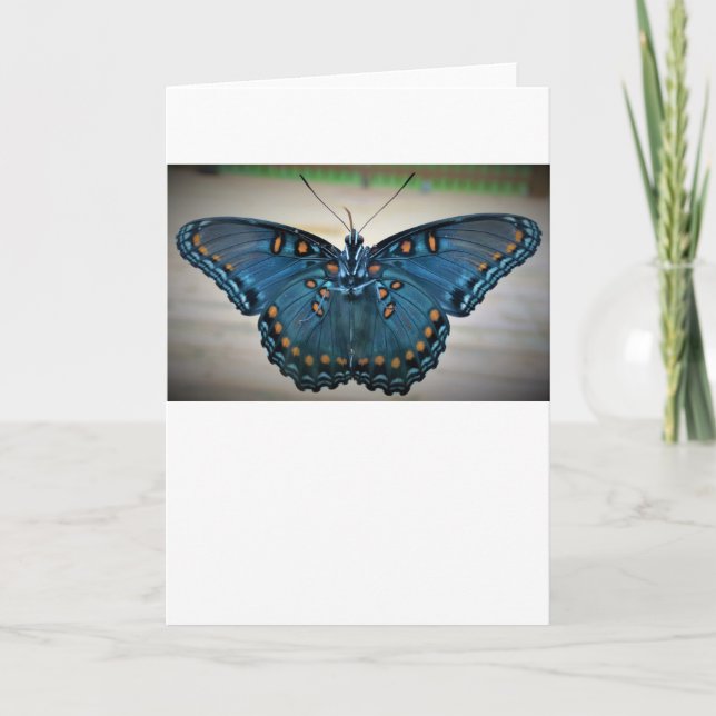Butterfly, card (Front)