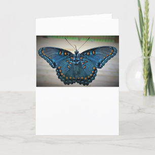 Butterfly, card