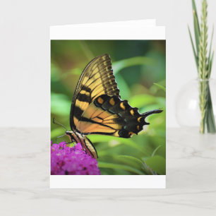Butterfly, card