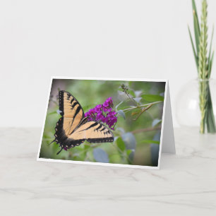 Butterfly, card