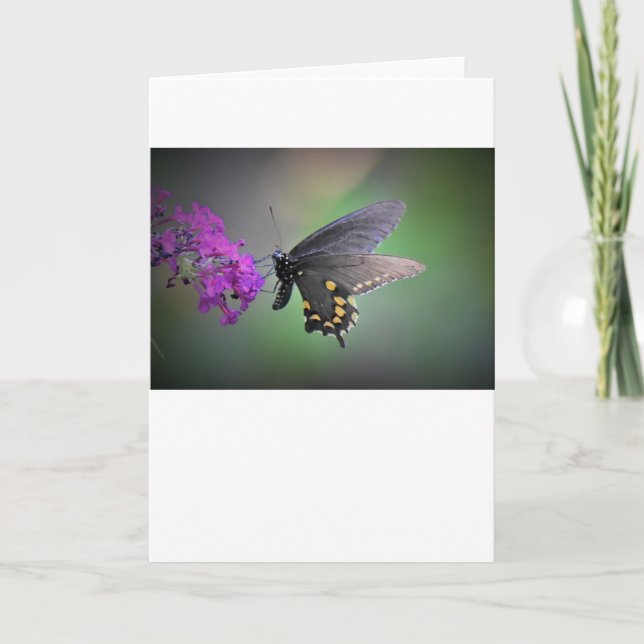 Butterfly, card (Front)