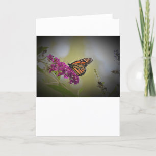 Butterfly, card