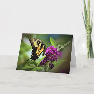 Butterfly, card