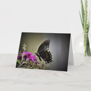 Butterfly, card