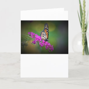 Butterfly, card