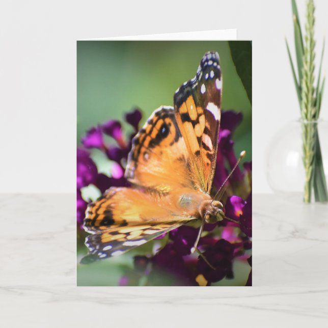 Butterfly, card (Front)