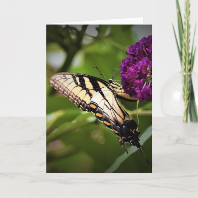 Butterfly, card (Front)