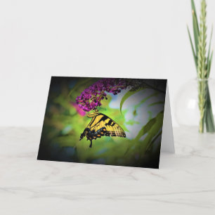 Butterfly, card