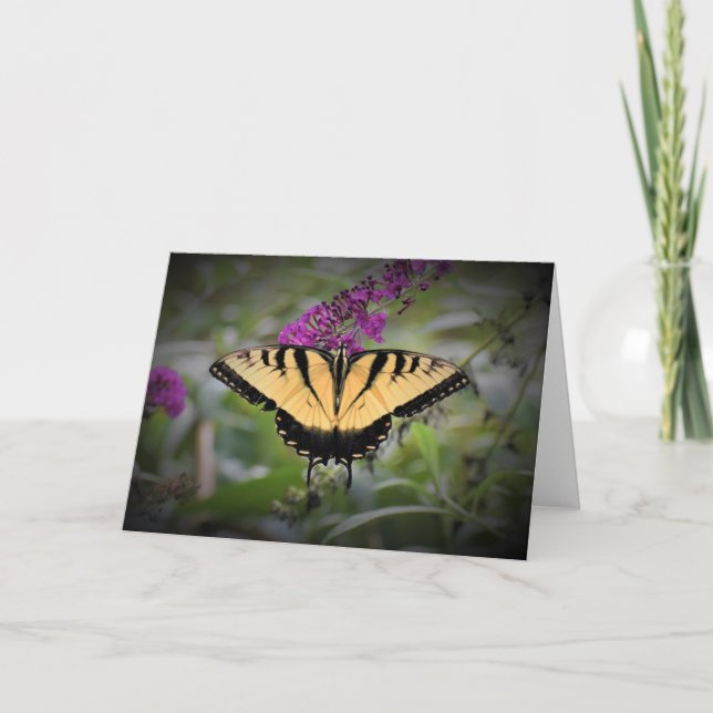 Butterfly, card (Front)