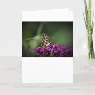 Butterfly, card