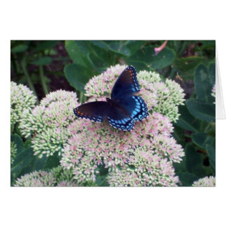 Butterfly Card - Blank inside