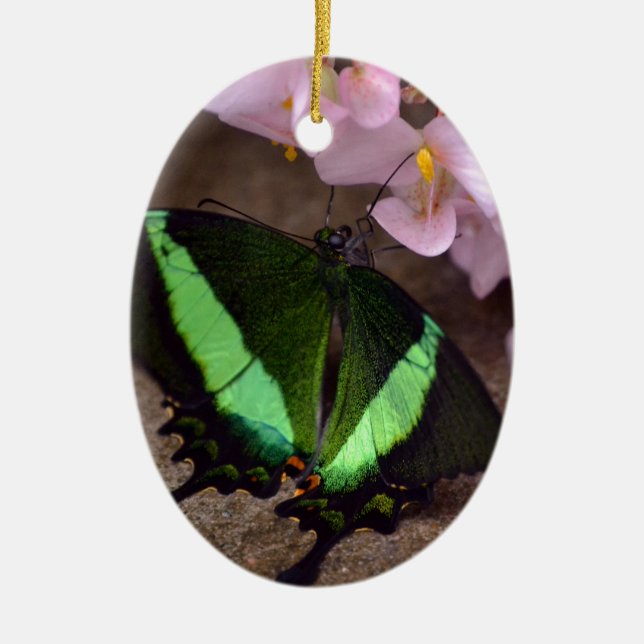 Butterfly Ceramic Tree Decoration (Front)