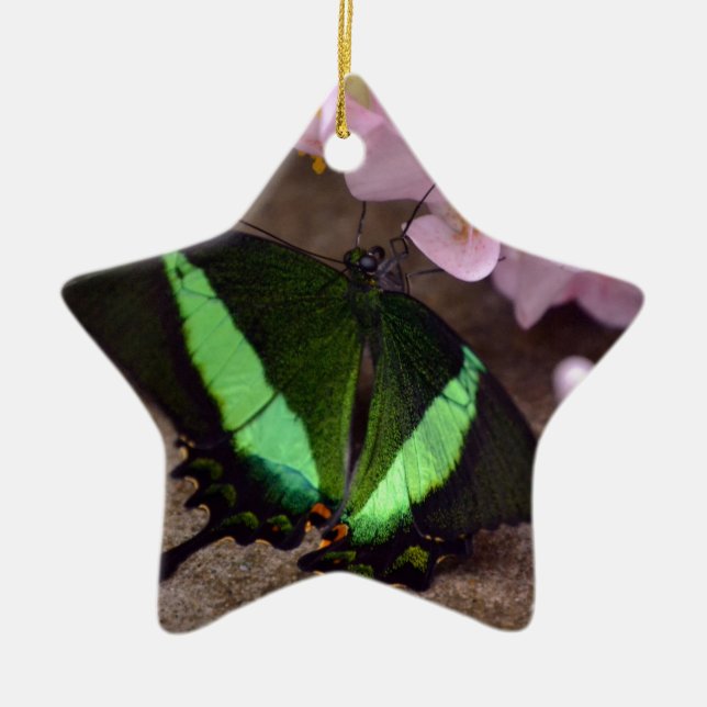 Butterfly Ceramic Tree Decoration (Front)