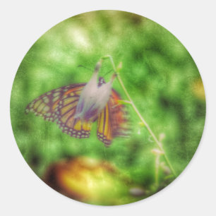 Butterfly Classic Round Sticker