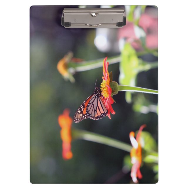 Butterfly Clipboard (Front)