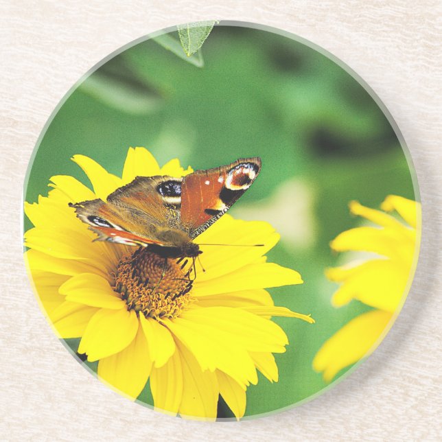 Butterfly - Coaster (Front)