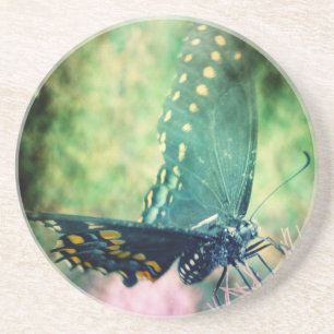 Butterfly Coaster