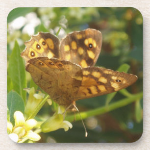 Butterfly Coasters