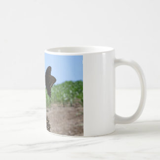 Butterfly Coffee Mug