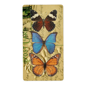Butterfly collection
