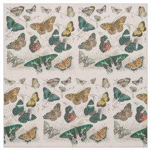 Butterfly Collection Antique Butterflies Fabric