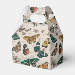 Butterfly Collection Antique Butterflies Favour Box