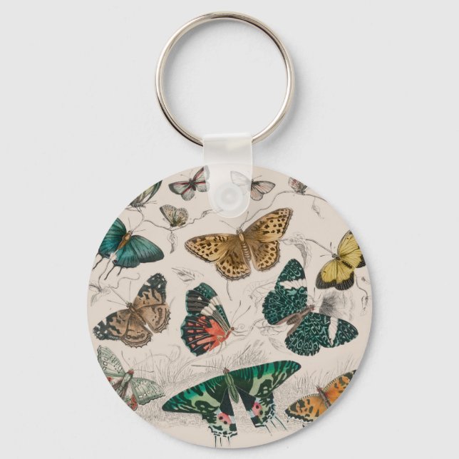 Butterfly Collection Antique Butterflies Key Ring (Front)
