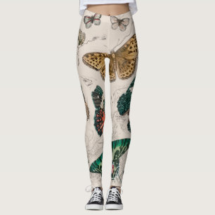 Butterfly Collection Antique Butterflies Leggings