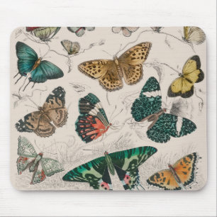 Butterfly Collection Antique Butterflies Mouse Pad