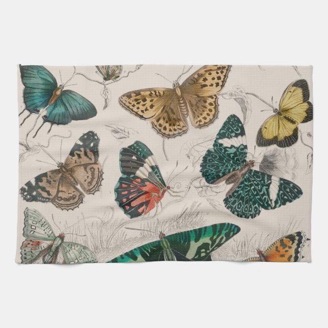 Butterfly Collection Antique Butterflies Tea Towel (Horizontal)