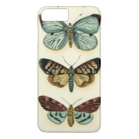 Butterfly Collection by Chariklia Zarris