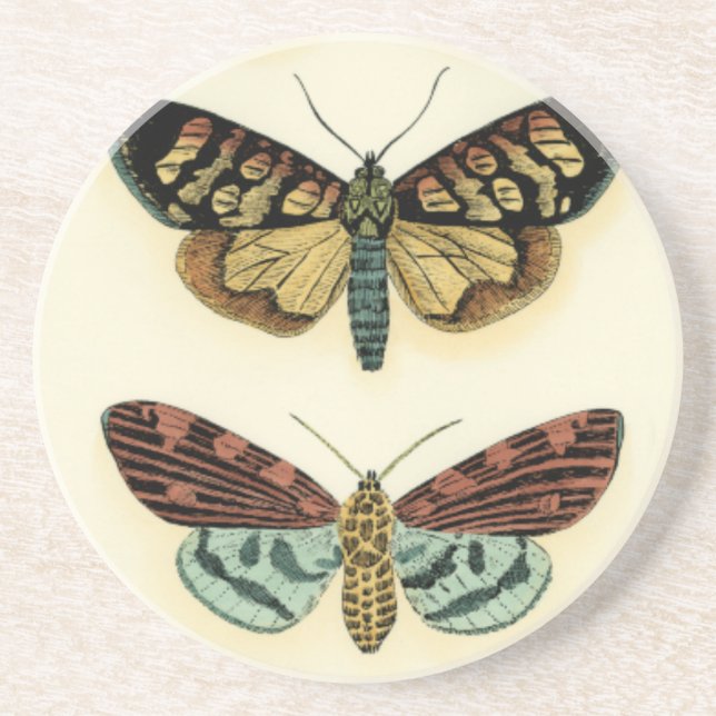 Butterfly Collection by Chariklia Zarris Coaster (Front)