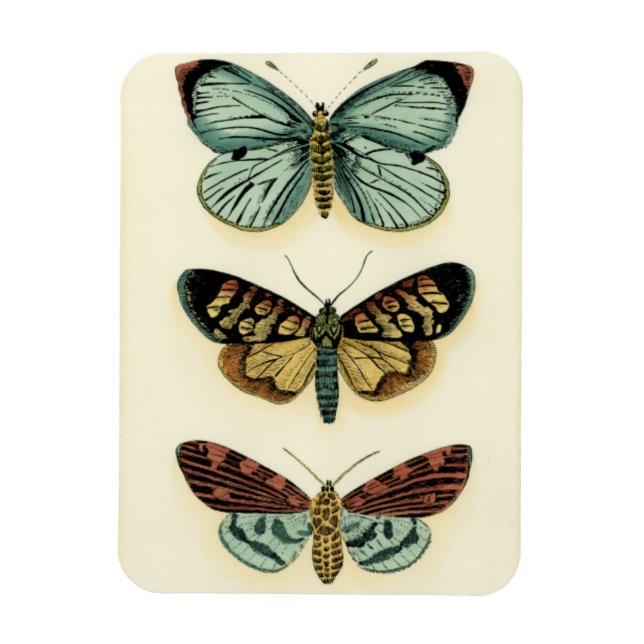 Butterfly Collection by Chariklia Zarris Magnet (Vertical)