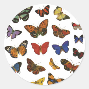 Butterfly Collection Classic Round Sticker