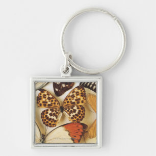 Butterfly collection key ring
