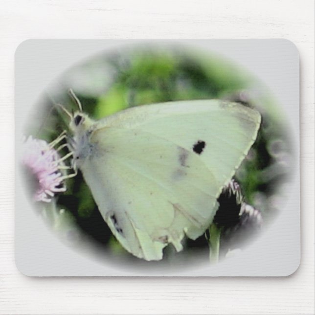 Butterfly Collection Mouse Pad (Front)
