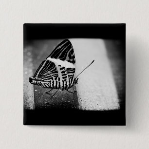 butterfly crossing 15 cm square badge