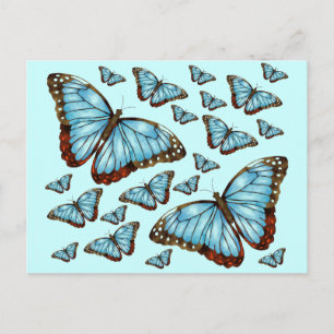 Butterfly Delight Postcard