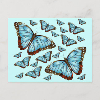 Butterfly Delight Postcard