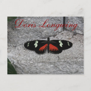 Butterfly Doris Longwing # 1 Postcard