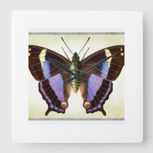 Butterfly dorsal view watercolor and ink 300724IRE Square Wall Clock