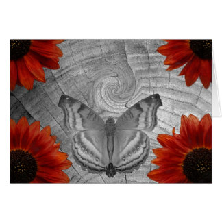 Butterfly Dream